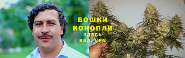 героин Алзамай