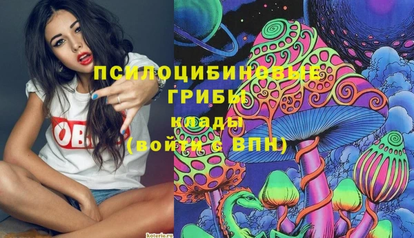 не бодяженный Алексин