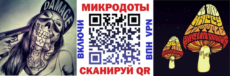 продажа наркотиков  Полтавская  mega онион  Псилоцибиновые грибы Psilocybine cubensis 